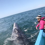 IMG 0001 2 (331)